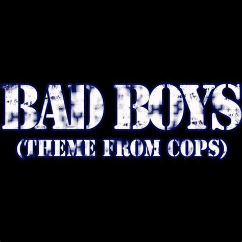 bad boys tv show theme song